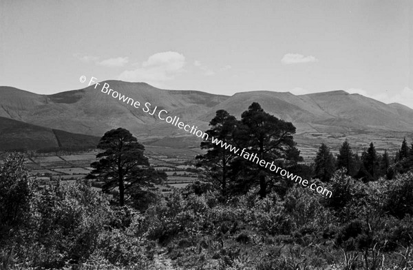 GLEN OF AHERLOW